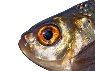 Similar image 435505