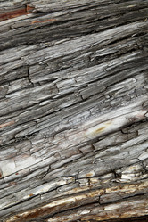 Similar image 435509