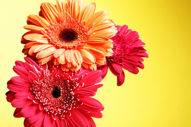 Similar image 435521