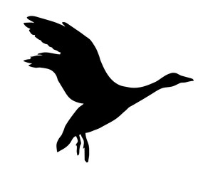 Similar image 435526