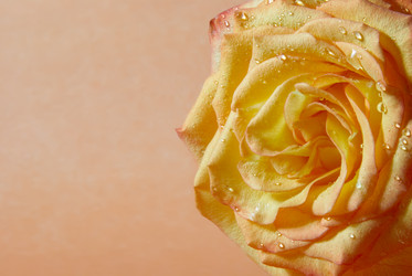 Similar image 435610