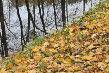 Similar image 435667