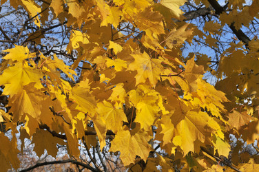 Similar image 435673