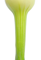 Similar image 435689