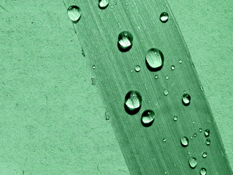 Similar image 435746