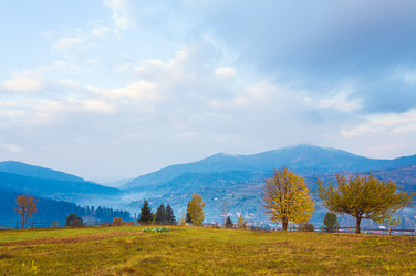 Similar image 435771