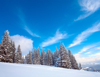 Similar image 435808