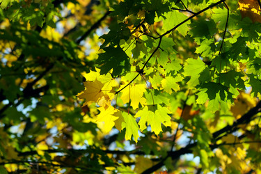 Similar image 435845