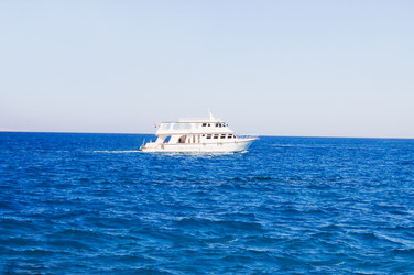 Similar image 435966