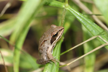 Similar image 436088