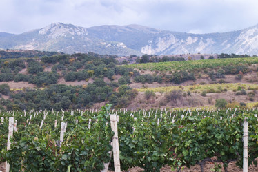 Similar image 436095