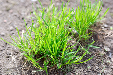 Similar image 436125