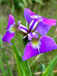 Similar image 436127