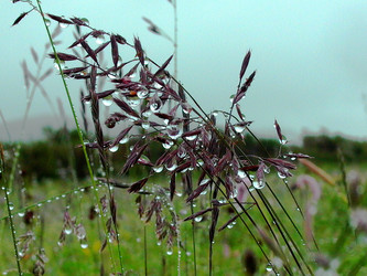 Similar image 436131