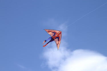 Similar image 436135