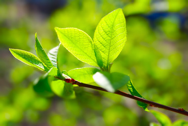 Similar image 436157