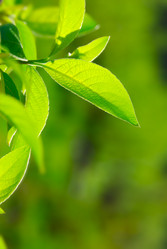 Similar image 436158