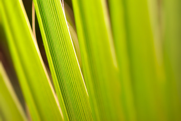 Similar image 436160