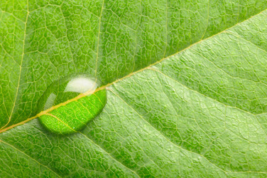 Similar image 436196