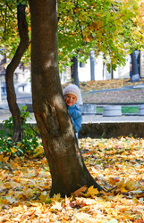 Similar image 436256