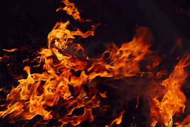 Similar image 436273