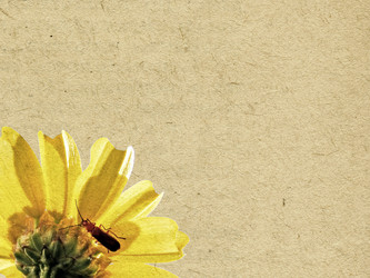 Similar image 436314