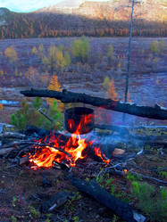 Similar image 436342