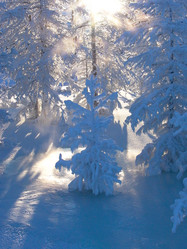 Similar image 436346