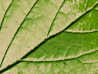 Similar image 436349