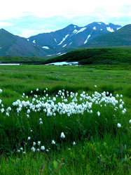 Similar image 436363