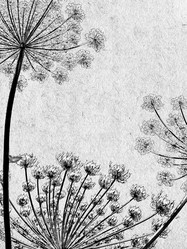 Similar image 436378