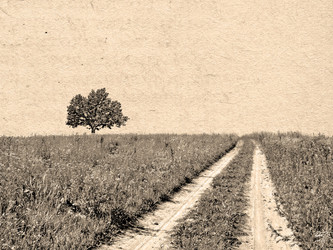 Similar image 436387