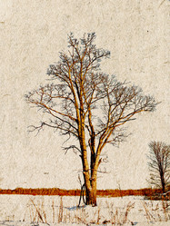 Similar image 436391