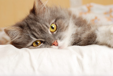 Similar image 436461