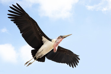 Similar image 436484