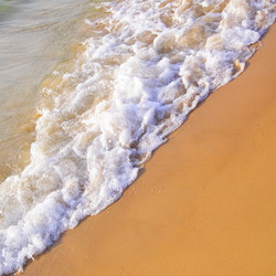 Similar image 436503