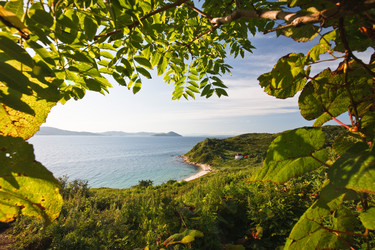 Similar image 436571