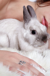 Similar image 436603