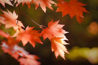 Similar image 436635