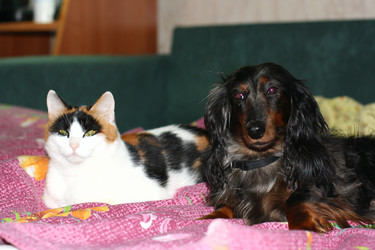 Similar image 436647