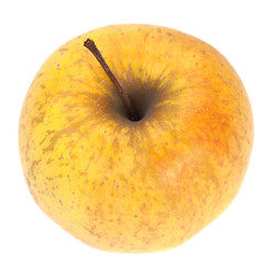 Similar image 436658