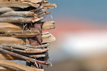 Similar image 436687