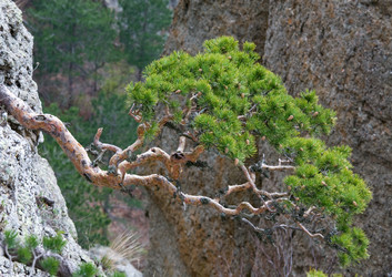 Similar image 436703