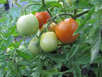 Similar image 436730