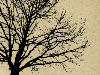 Similar image 436737