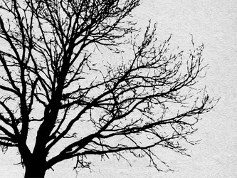 Similar image 436739