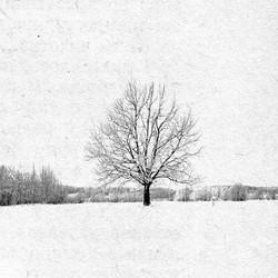 Similar image 436741