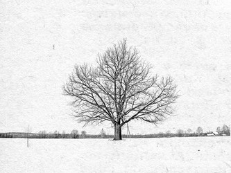 Similar image 436745