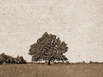 Similar image 436748