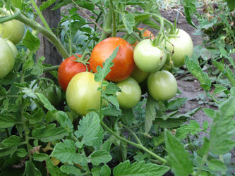 Similar image 436754